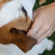 オリジナルのペットの名入れリング [スターリングシルバー]
