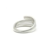 白鳥の名入れリング・3つの名前 [スターリングシルバー]