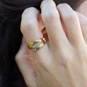 タイヨウチョウ科誕生石リング [ゴールドメッキ]