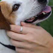 波のペットの名入れリング [スターリングシルバー]