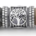 ファミリー・ツリー